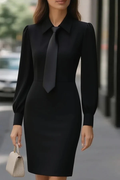 Elegant Tie-lapel Waisted Long-sleeved Mini Dress
